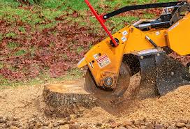 Best Lawn Watering Services  in , WI