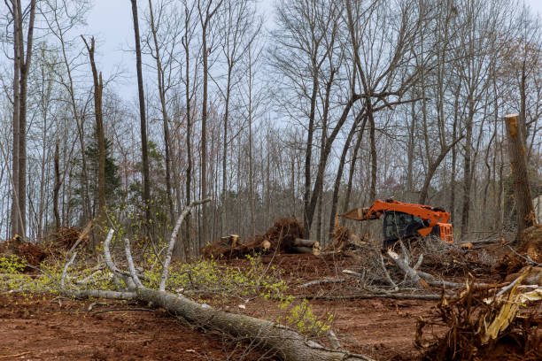  , WI Tree Care Pros